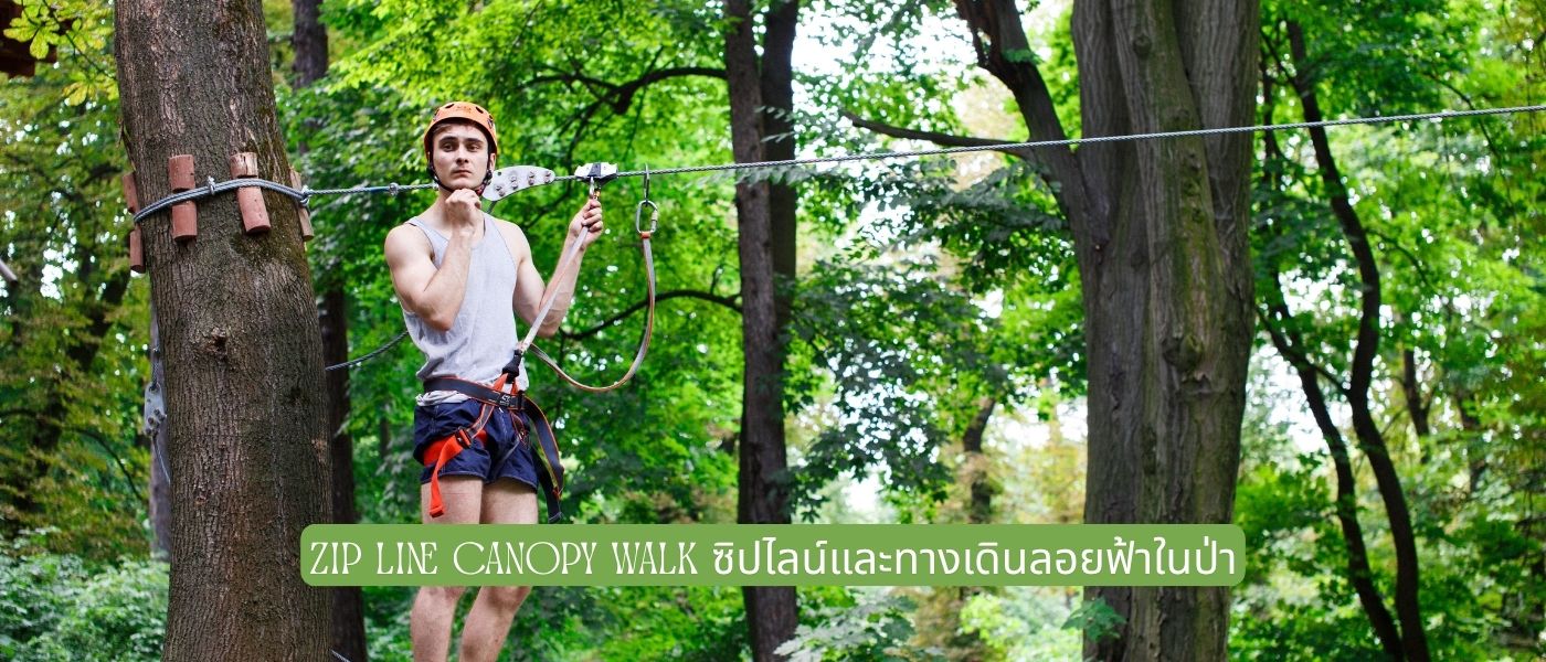 Zip Line Canopy Walk ซิปไลน์และทางเดินลอยฟ้าในป่า